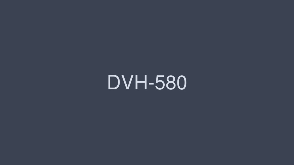 DVH-580 หัตถกรรมที่ชาญฉลาด 4 ชั่วโมง SP 40 ทำด้วยมือของผู้คน 16